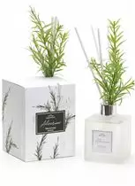 Difusor de Aromas Greenswet - 250ml - Alecrim 