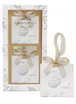 Gesso Greenswet Quadrado Jardim - Caixa 02 un.